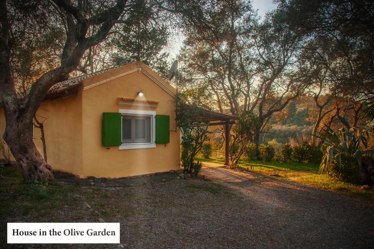 Apartamento House In The Olive Garden Ágios Ioánnis Exterior foto