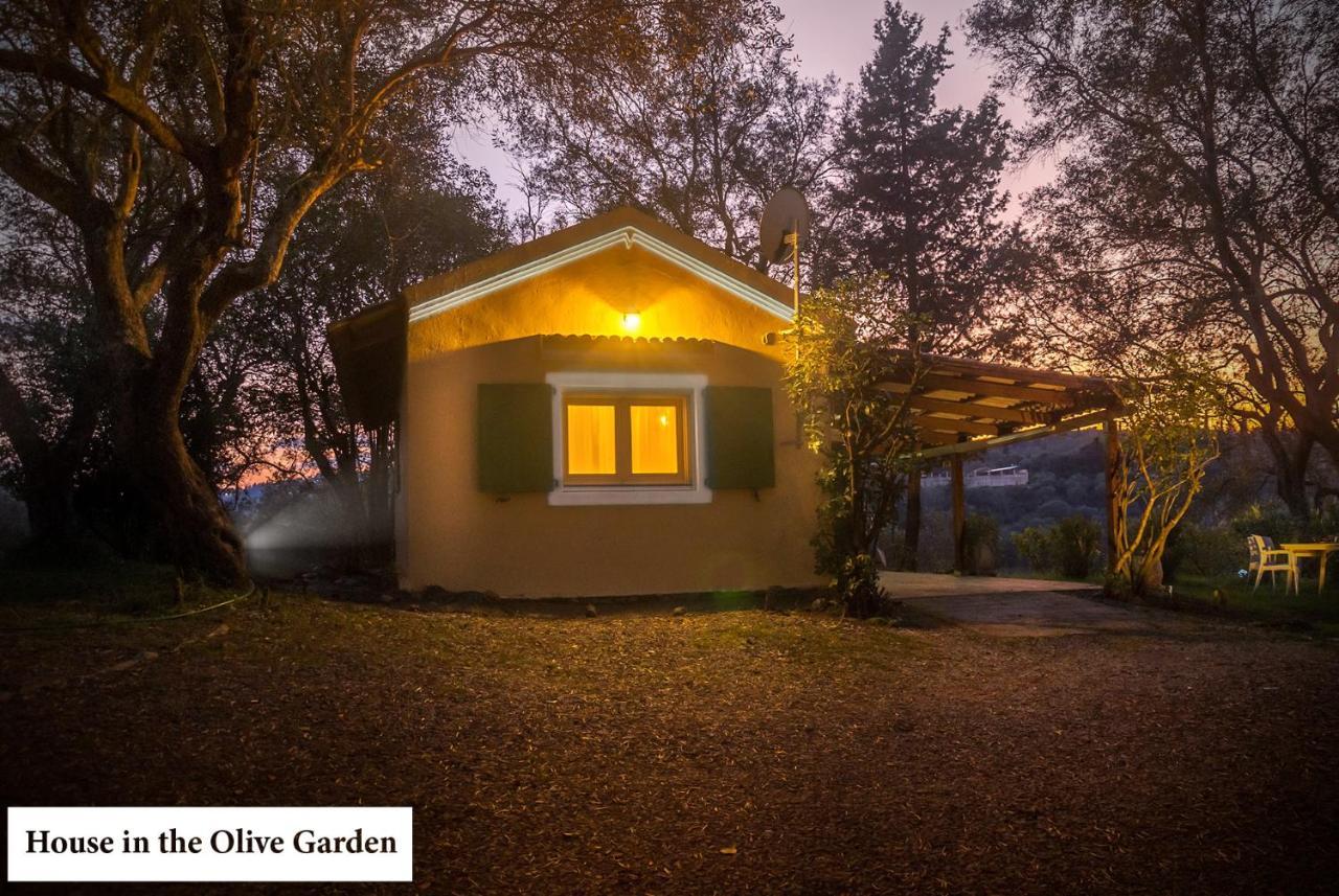 Apartamento House In The Olive Garden Ágios Ioánnis Exterior foto