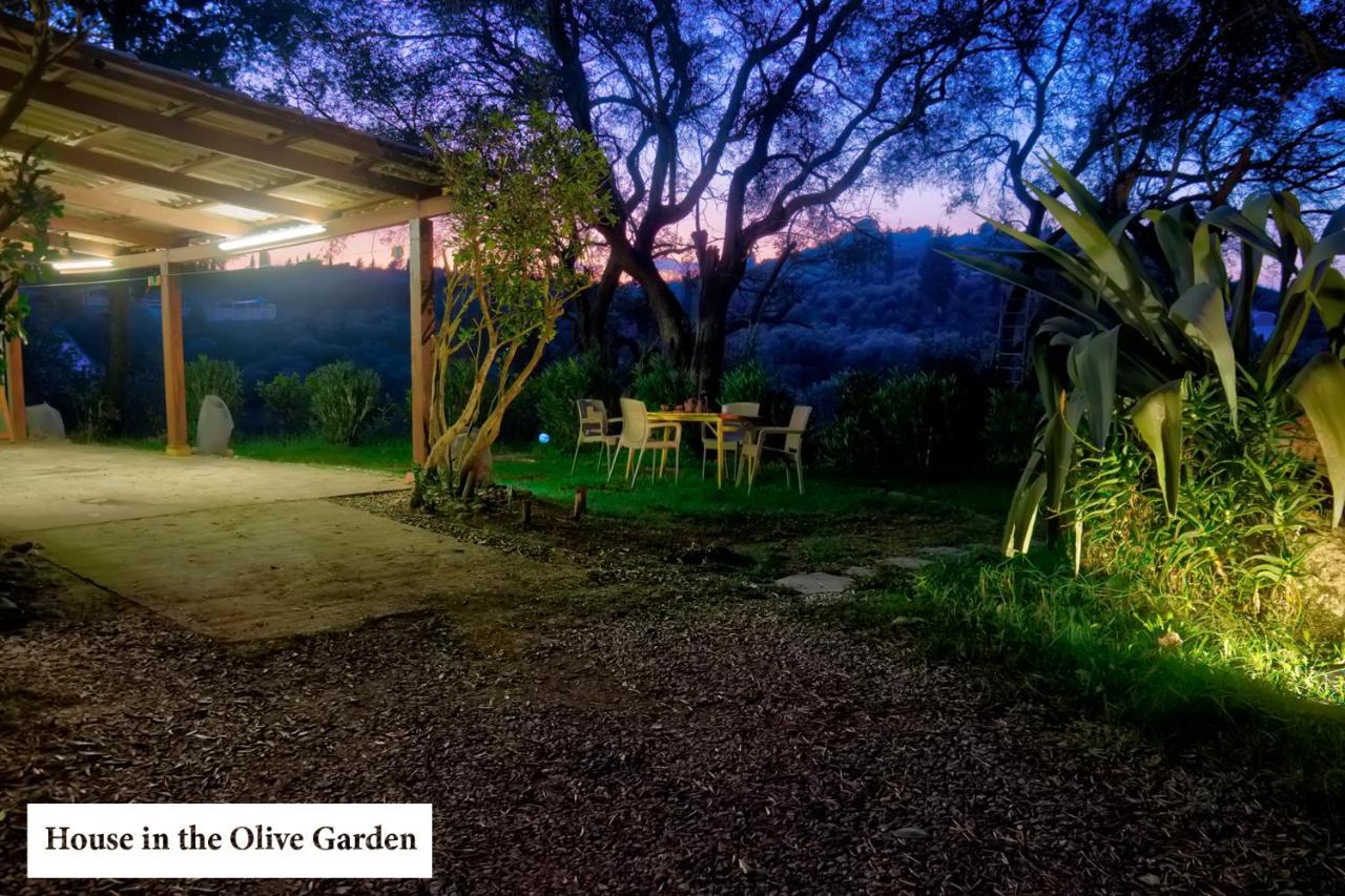 Apartamento House In The Olive Garden Ágios Ioánnis Exterior foto