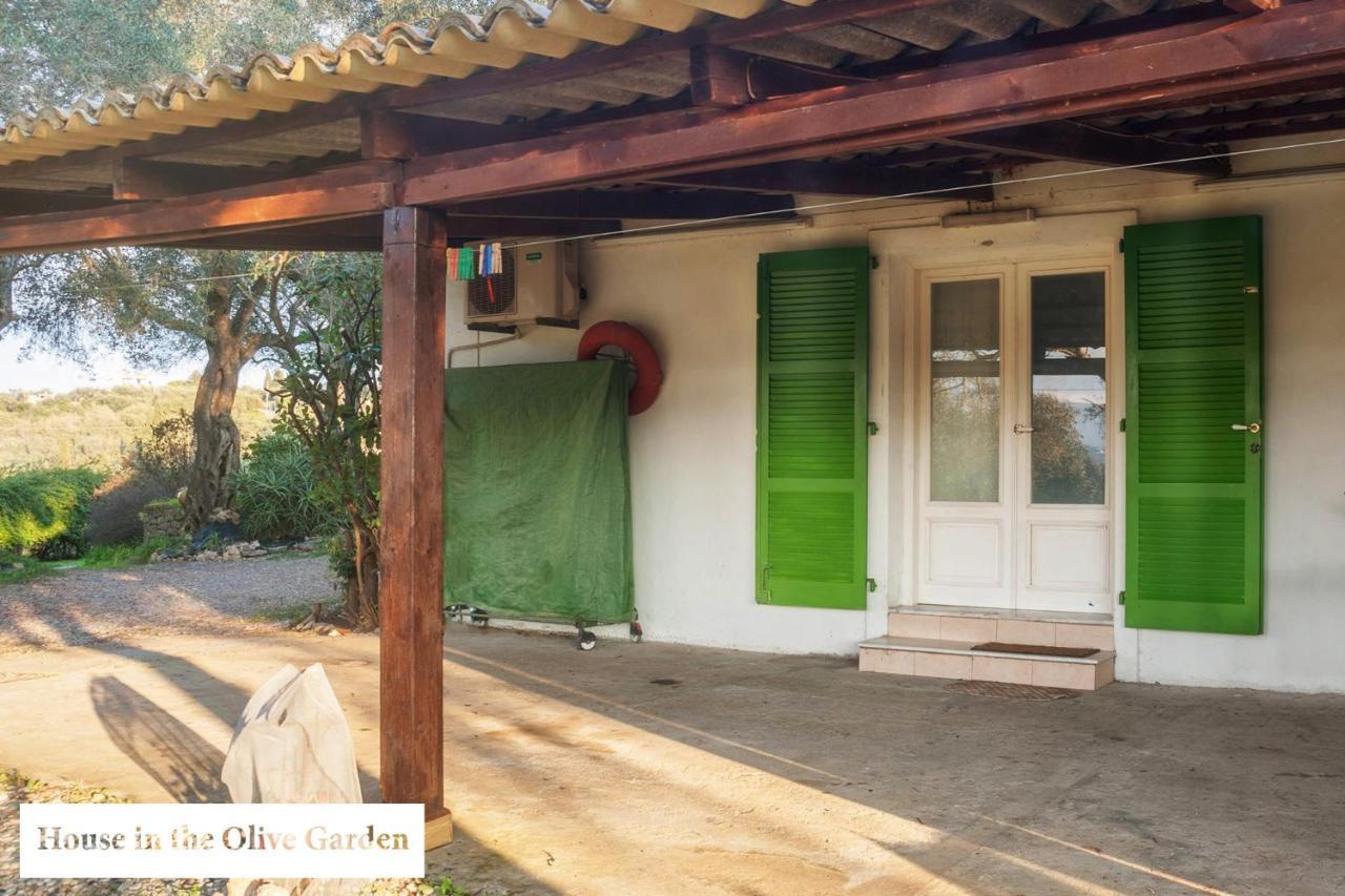 Apartamento House In The Olive Garden Ágios Ioánnis Exterior foto