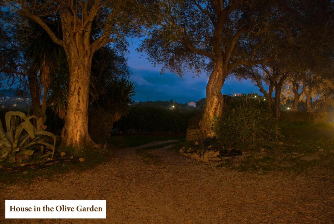 Apartamento House In The Olive Garden Ágios Ioánnis Exterior foto