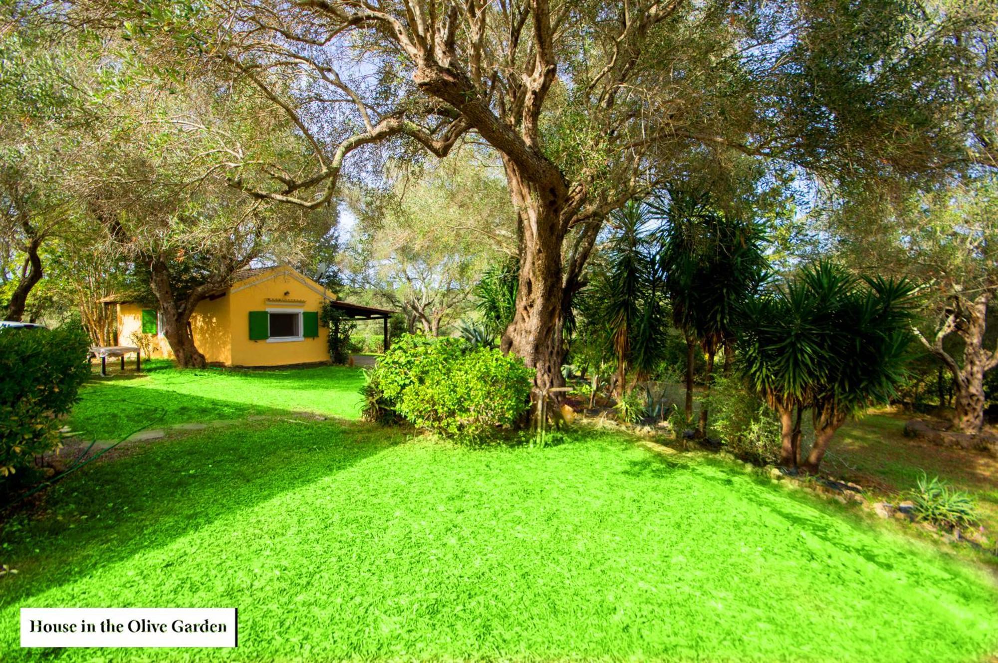 Apartamento House In The Olive Garden Ágios Ioánnis Exterior foto