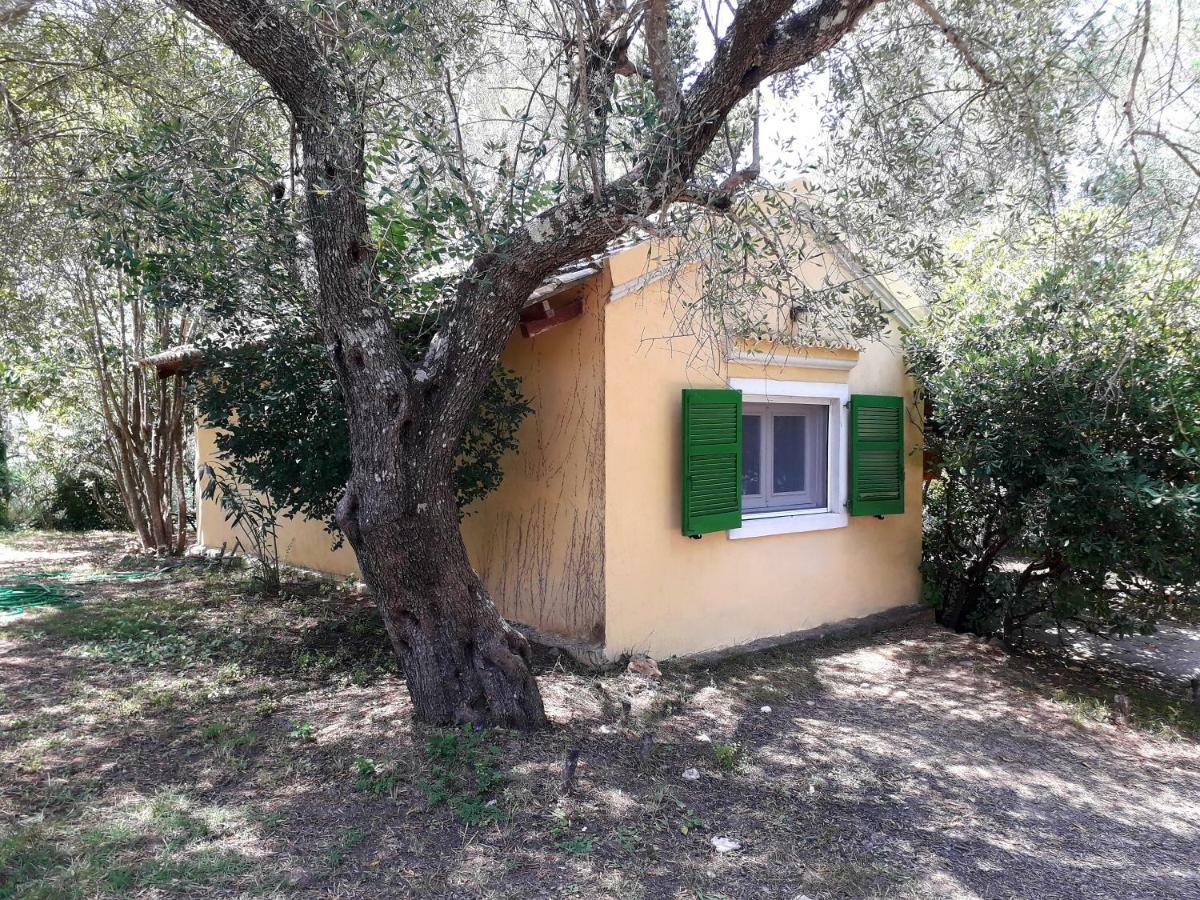 Apartamento House In The Olive Garden Ágios Ioánnis Exterior foto