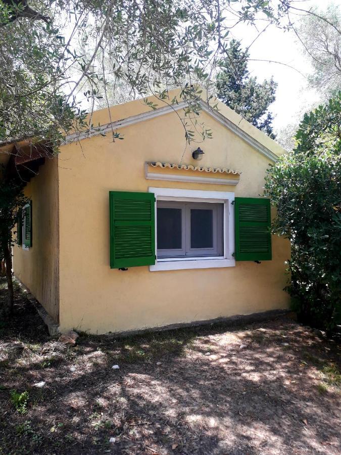Apartamento House In The Olive Garden Ágios Ioánnis Exterior foto